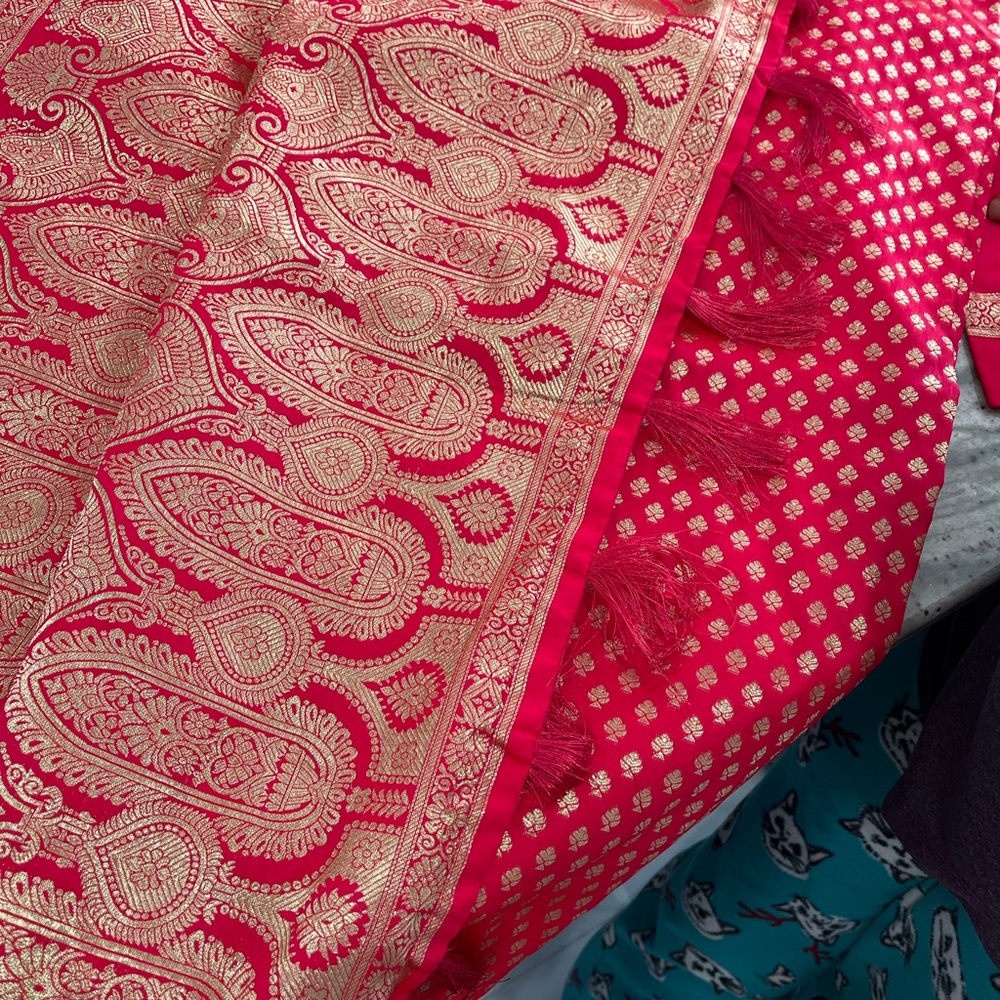 Hot pink banarsi saree